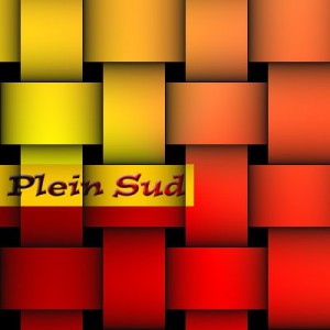 Pleinsud